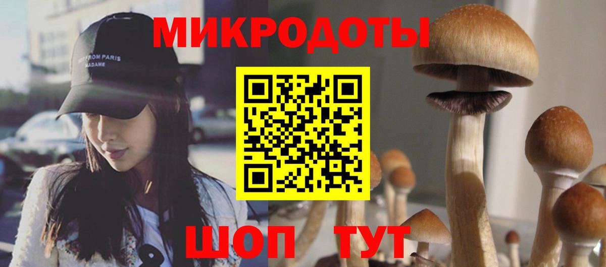 Псилоцибиновые грибы MAGIC MUSHROOMS Новотроицк